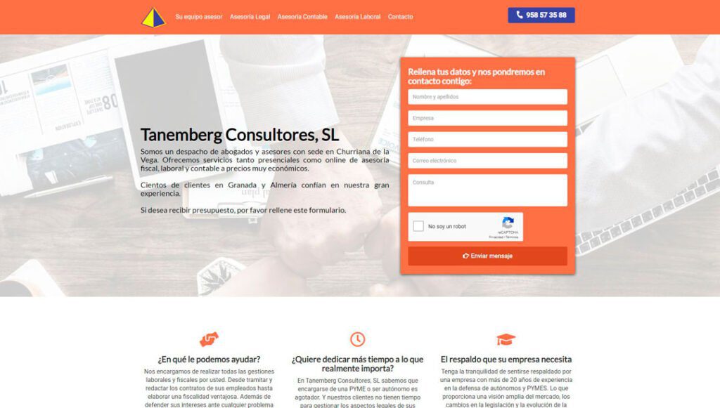 asesoria-tanemberg-portfolio