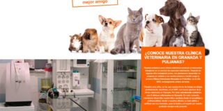 clinicas-veterinarias-granada