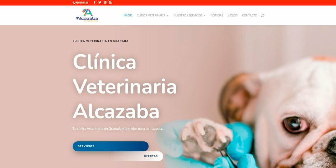 diseno-web-clinica-veterinaria-alcazaba