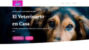 diseno-web-veterinario-en-casa