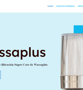 diseño web profesional Wassaplus